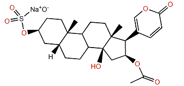 Bufotalin 3-sulfate